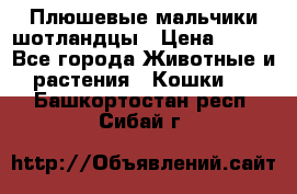 Плюшевые мальчики шотландцы › Цена ­ 500 - Все города Животные и растения » Кошки   . Башкортостан респ.,Сибай г.